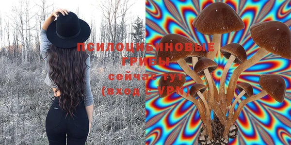 мет Зеленокумск
