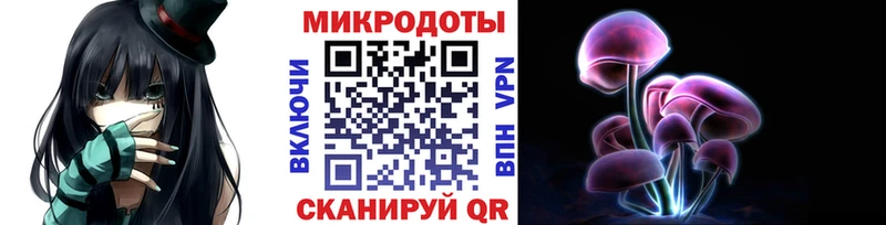 Галлюциногенные грибы Psilocybine cubensis  Юхнов 
